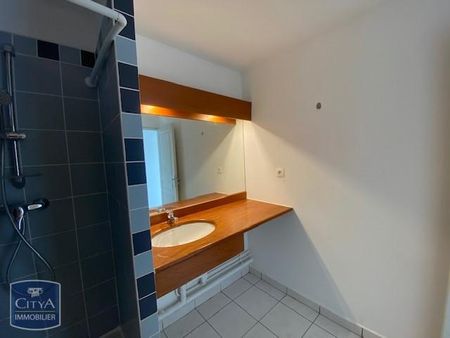 Location Appartement 1 pièce 21m² LE TAMPON 97430 - Photo 4