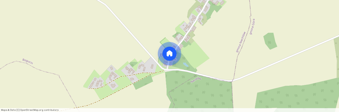 Gnieźnieńska, Bogucin, wielkopolskie