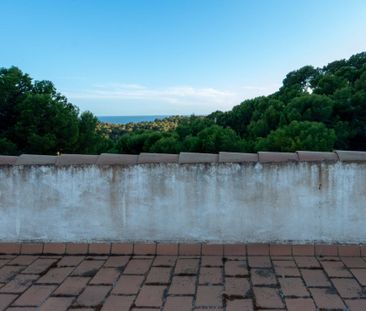 Carrer Calma, 11, 07160 Peguera, Illes Balears, Spain, Peguera, Bal... - Photo 3