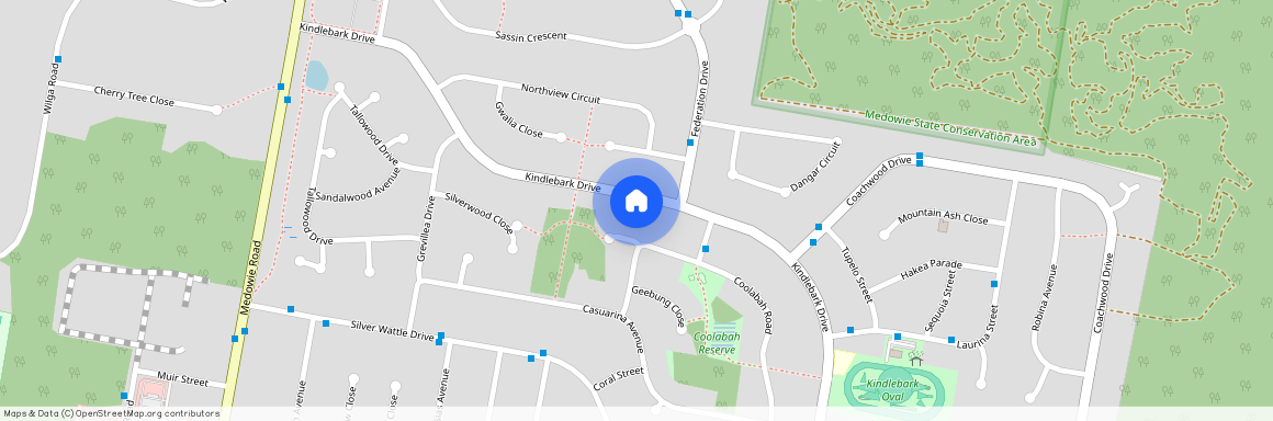 93 Kindlebark Drive, NSW 2318, Medowie
