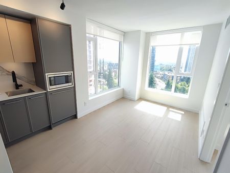 Plaza Two Brand New 2 Bedrooms/2 Bathrooms Condo on 14th Floor - Photo 4