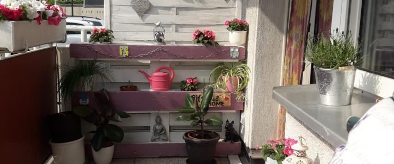 Demnächst frei! 2-Zimmer-Wohnung in Castrop-Rauxel Habinghorst - Foto 1