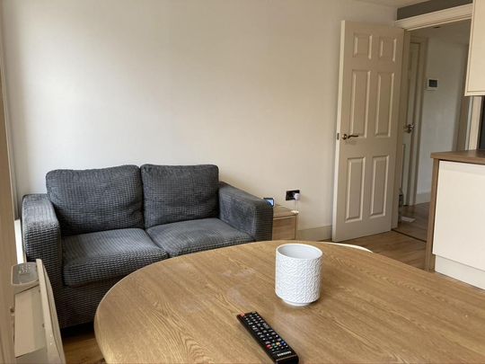 1 bedroom private hall to rent - Photo 1