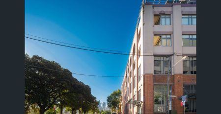 Size, light and quality in a contemporary inner-city haven - Photo 2