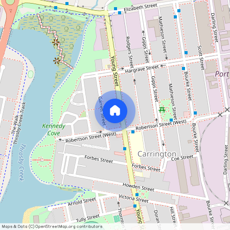 33 Young Street, NSW 2294, Carrington