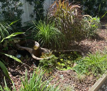 Indooroopilly - Photo 6