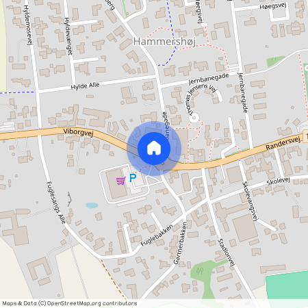 Viborgvej, 2, st., 8830, Tjele