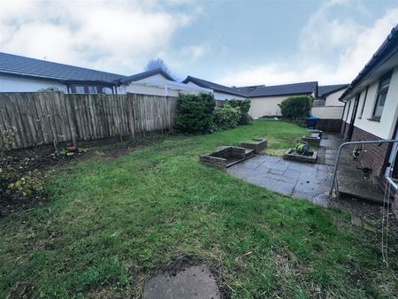 To Let 3 Bed Bungalow - Detached Bryn Felin, Pentre Halkyn PCM £995 pcm - Photo 4