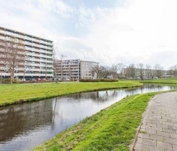 Cruquiuslaan 0ong, 2332 Leiden, Nederland - Foto 1