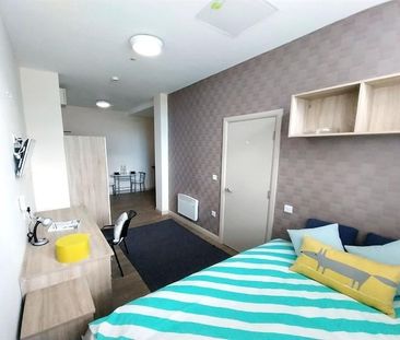 Studio Flat, Alexandra House, S3 - Photo 3