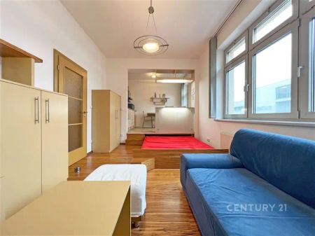 pronájem moderního zařízeného bytu 1+kk, 39 m - Fotografie 4