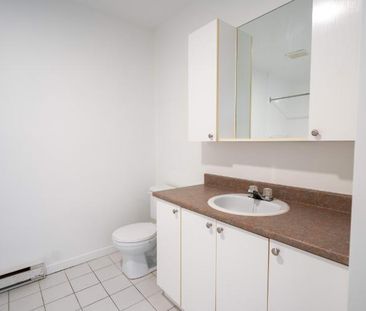 1 CH - 1 SDB - Saint-Charles-Borromée - $1,095 /mo - Photo 4