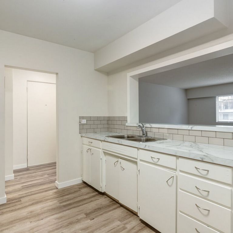 Renovated Suite - 1 Bedroom - Photo 1