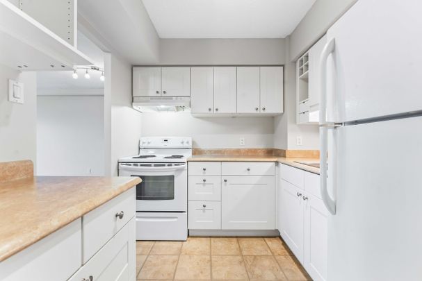 Spacious Two-Bedroom Condo for Rent Near Rideau River - Photo 1