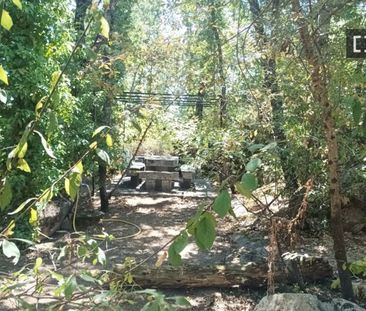 2 room luxury Flat for rent in Boalo, Autonomous Region of Madrid - Photo 5