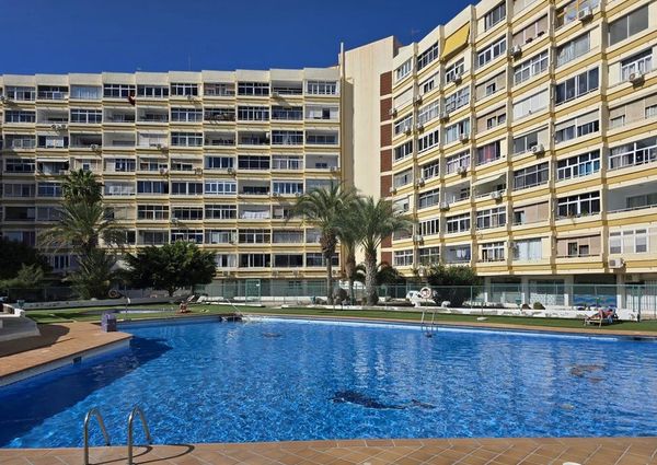 San Bartolomé de Tirajana, Canary Islands 35100