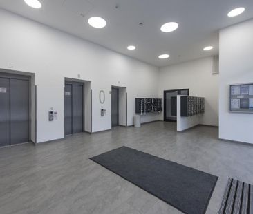 Provisionsfrei für den MIETER! Lenauterrassen - Neubau | 3-Zimmer-W... - Foto 6