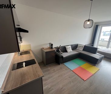 Pronájem bytu 1+kk v osobním vlastnictví 36 m², Chýně - Photo 4