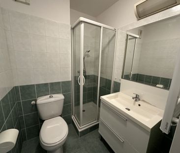 Location Appartement 1 pièce 19m² RODEZ 12000 - Photo 3