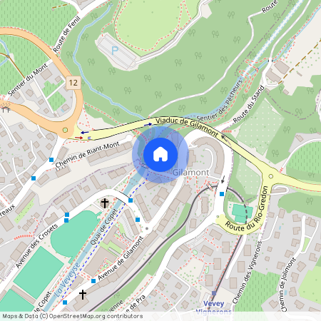 1800, Vevey, Avenue De Gilamont, 65