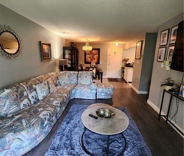 217-561 Armstrong Rd, Kingston, ON K7M 8J9 - Photo 5