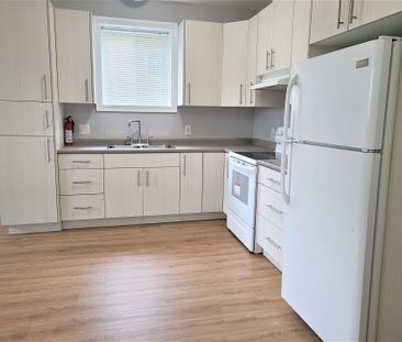 For Lease - 11 Donald Avenue Unit# Lower, Welland, Ontario - Photo 2