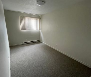 Glenview Gardens 3 Bedroom – 1 MONTH FREE! - Photo 3