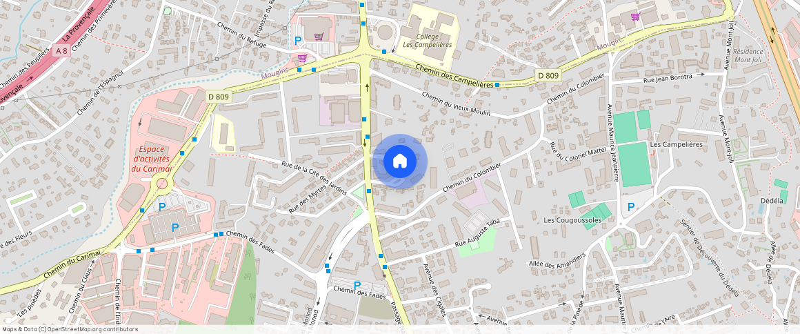 ALPES-MARITIMES (06), - PROVENCE-ALPES-COTE-D-AZUR, LE CANNET (06110)