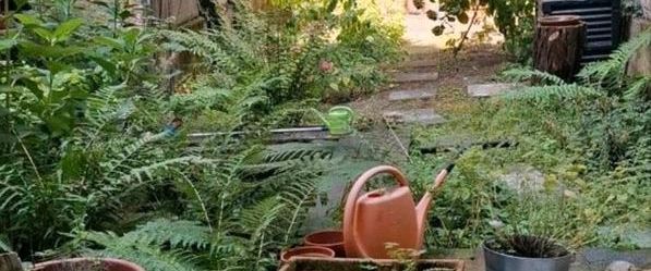 Tauschwohnung Nippes mit Garten / größere Wohnung gesucht - Foto 1