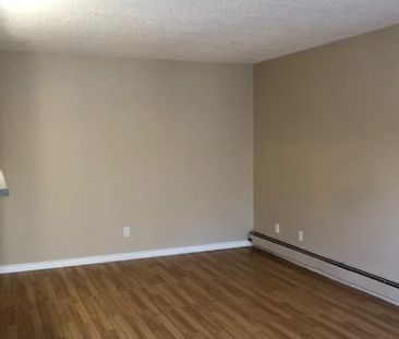 Amazing 2 Bedroom Apartment on Quiet Close!! - Photo 2