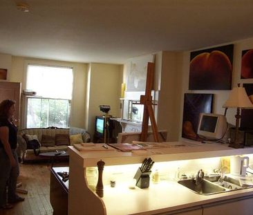 Lrg 1 bdrm aptm garden laundry quiet st close to transport, park, DVP - Photo 4