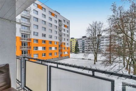 Avízo krásného pronájmu, Vánoce 2026 v novém - Fotografie 3