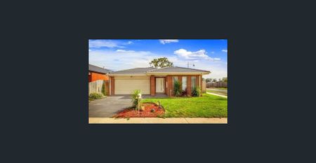 Modern 4 Bedroom Family Home - Walk to Schools, Shops & More! - Photo 2