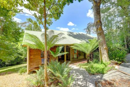 Tranquil Hills Living Surrounded by Nature - Photo 3