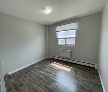 Bachelor Apartment - Photo 5