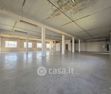 Quadrilocale in Affitto in zona San Pietro a Legnago - Photo 2