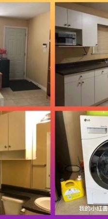 First Floor Suite for Rent near Langara College (Roomate) - Photo 1