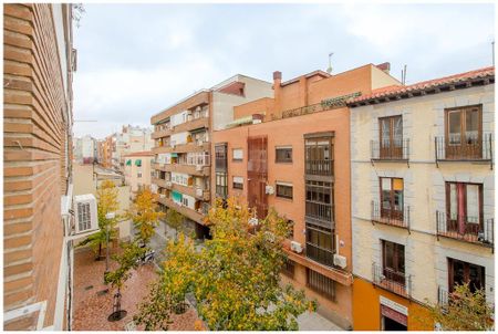 Calle de Pilar de Zaragoza, Madrid, Community of Madrid 28028 - Photo 5