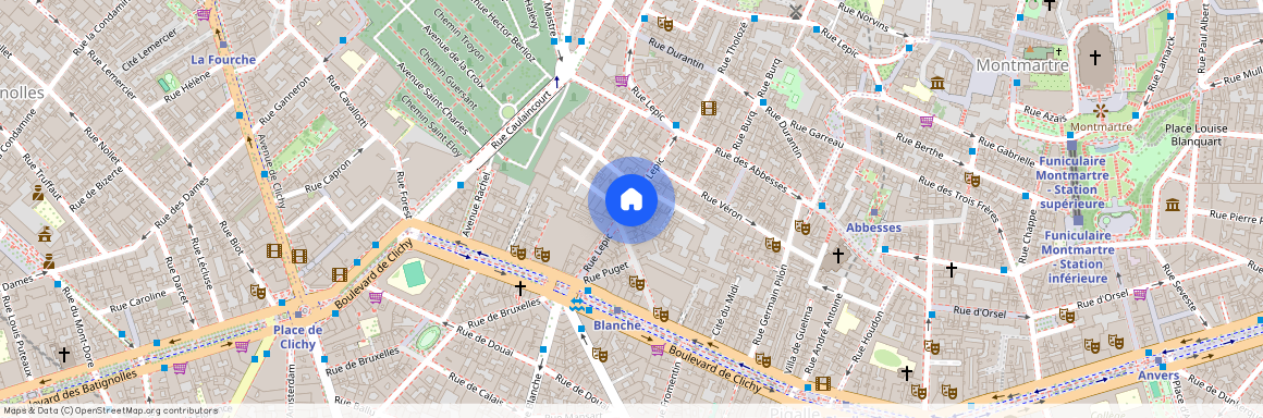 Paris 18ème, Rue Lepic