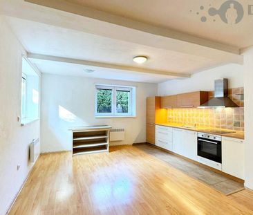 Pronájem bytu 2+kk 48 m² - Photo 1