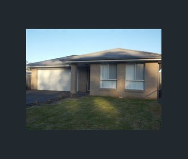 Four Bedroom home available 30th April 2026 - Photo 6