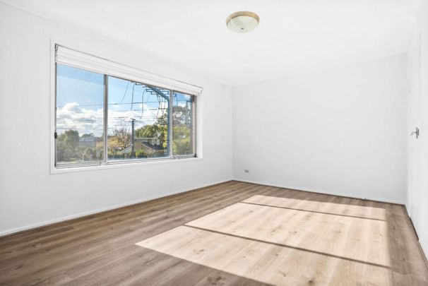 SPACIOUS | FRESHLY PAINTED | GREAT LOCATION - Photo 1