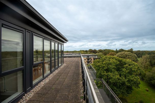 Bushy Park Apts, Bushy Park, Terenure, Dublin 6, Terenure, Dublin 6, D06 VW85 - Photo 1