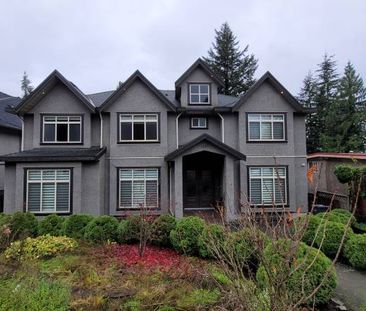 Cozy 2-Bedroom Basement Suite in Central Coquitlam - Photo 1