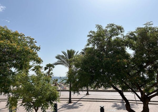 4 Avinguda de Son Maties, Calvià, Balearic Islands 07184