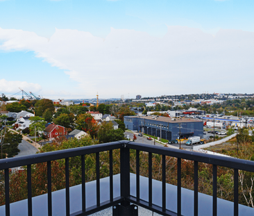apartments at 3569 Dutch Village Road - Photo 2