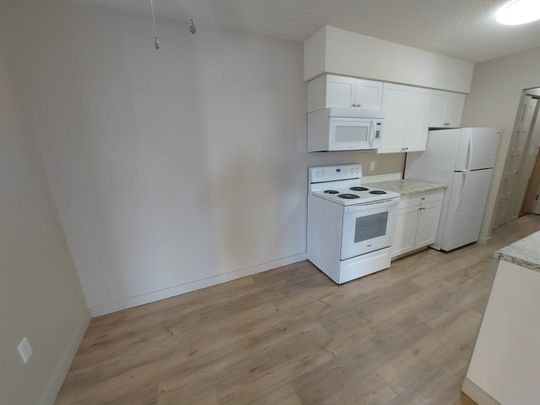 Beautiful 2 Bedroom Unit in Parkvale!! - Photo 1