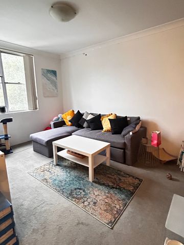 Chippendale - Photo 4