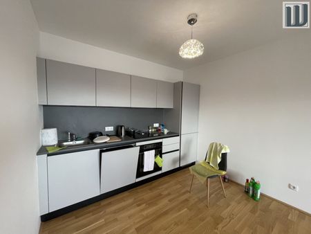 Penthouse Apartment mit Terrasse in Wiener Neustadt – Ihr neues Zuhause! - Photo 2