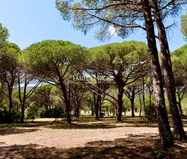 Charmante villa à louer sur la Plage de Palombaggia, accès plage vi... - Photo 5